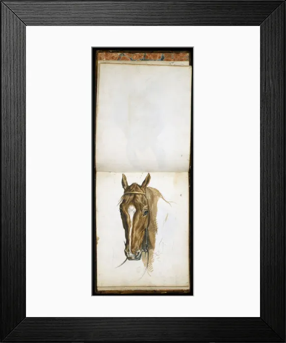 Framed Print : Horses Head, c1817-1873. Artist: Edwin Henry Landseer Framed Print : Horses Head, c1817-1873. Artist: Edwin Henry Landseer