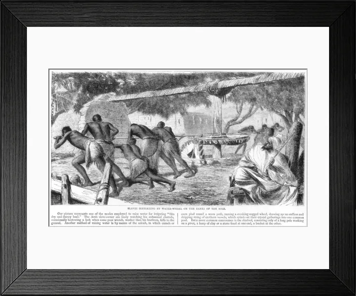 Framed Print : Slaves Irrigating by Water-Wheel on the Banks of the Nile, 19th century. Artist Framed Print : Slaves Irrigating by Water-Wheel on the Banks of the Nile, 19th century. Artist