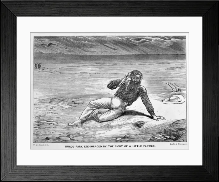 Framed Print : Mungo Park encouraged by the sight of a little flower, (19th century). Artist: JM Corner Framed Print : Mungo Park encouraged by the sight of a little flower, (19th century). Artist: JM Corner