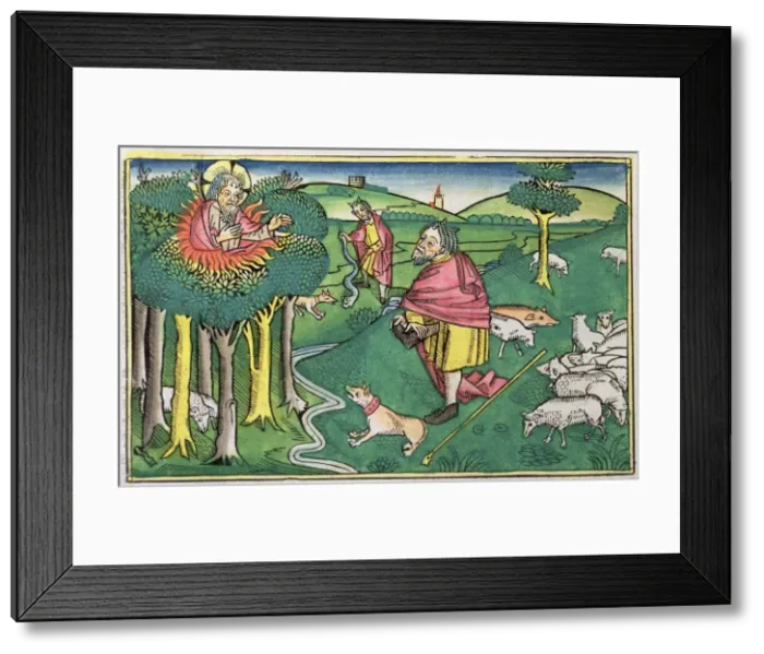 Framed Print : Exodus 3: 1-22 and 4: 1-4: the burning bush amd God arming Moses with the miraculous rod Framed Print : Exodus 3: 1-22 and 4: 1-4: the burning bush amd God arming Moses with the miraculous rod