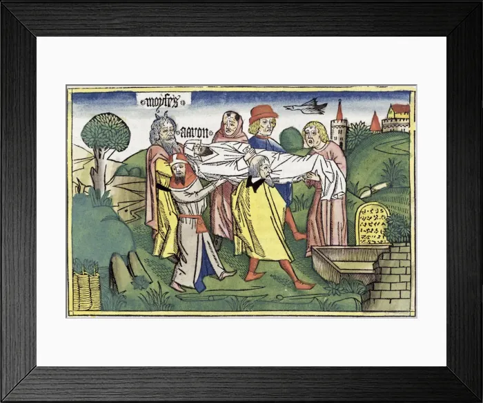 Framed Print : Numbers 20: 22-29: the death of Aaron Framed Print : Numbers 20: 22-29: the death of Aaron
