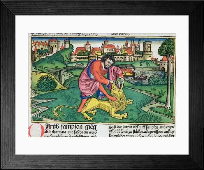 Framed Print : Judges 14: 5-9: Samson slaying the lion Framed Print : Judges 14: 5-9: Samson slaying the lion