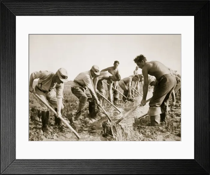 Framed Print : The Labour Service at work, Germany, 1936 Framed Print : The Labour Service at work, Germany, 1936