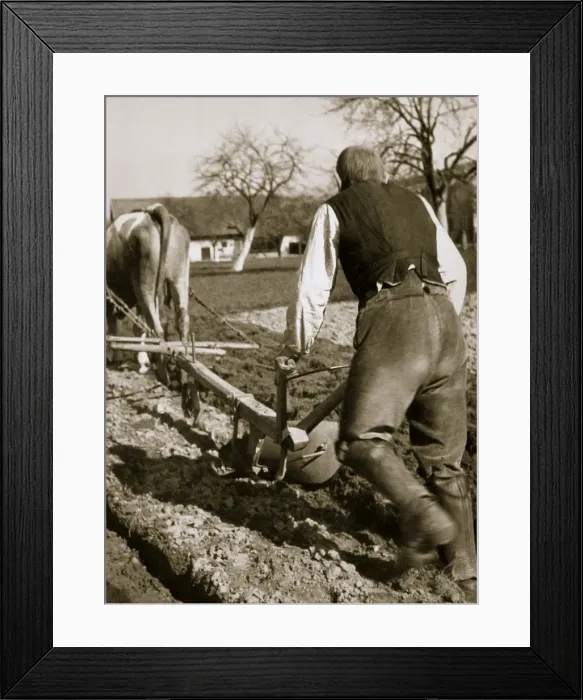 Framed Print : A farmer at work, ploughing a field, Germany, 1936 Framed Print : A farmer at work, ploughing a field, Germany, 1936