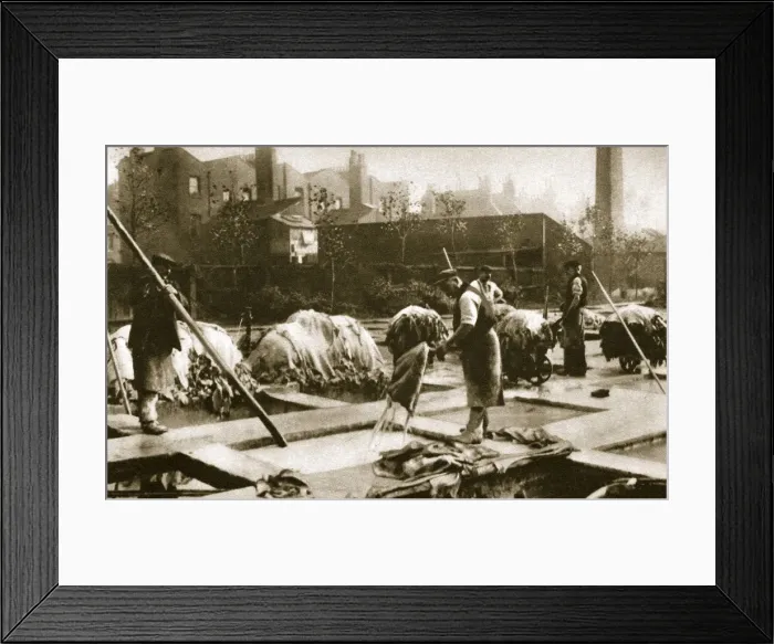 Framed Print : Making leather in the lime yard at Neckinger Mills, London, 20th century Framed Print : Making leather in the lime yard at Neckinger Mills, London, 20th century