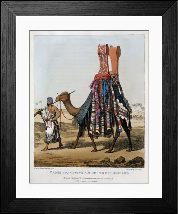 Framed Print : Camel Conveying a Bride to her Husband, 1821. Artist: Denis Dighton Framed Print : Camel Conveying a Bride to her Husband, 1821. Artist: Denis Dighton