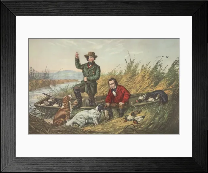 Framed Print : Wild Duck Shooting, A Good Days Sport, pub Framed Print : Wild Duck Shooting, A Good Days Sport, pub
