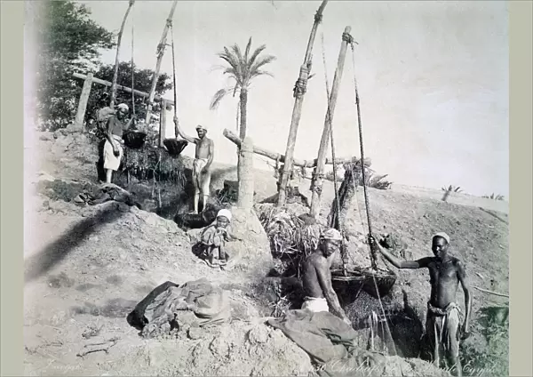 Shadufs in Upper Egypt, late 19th century. Artist: G Lekegian
