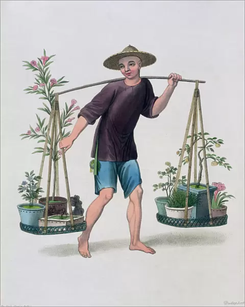 A Porter with Fruit Trees and Flowers, China, 1800. Artist: J Dadley