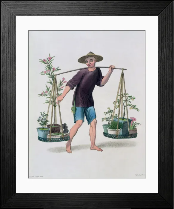 Framed Print : A Porter with Fruit Trees and Flowers, China, 1800. Artist: J Dadley Framed Print : A Porter with Fruit Trees and Flowers, China, 1800. Artist: J Dadley