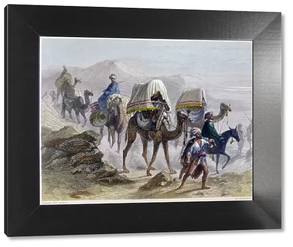 The Camel Train, 1855. From Constantinople and the Black Sea