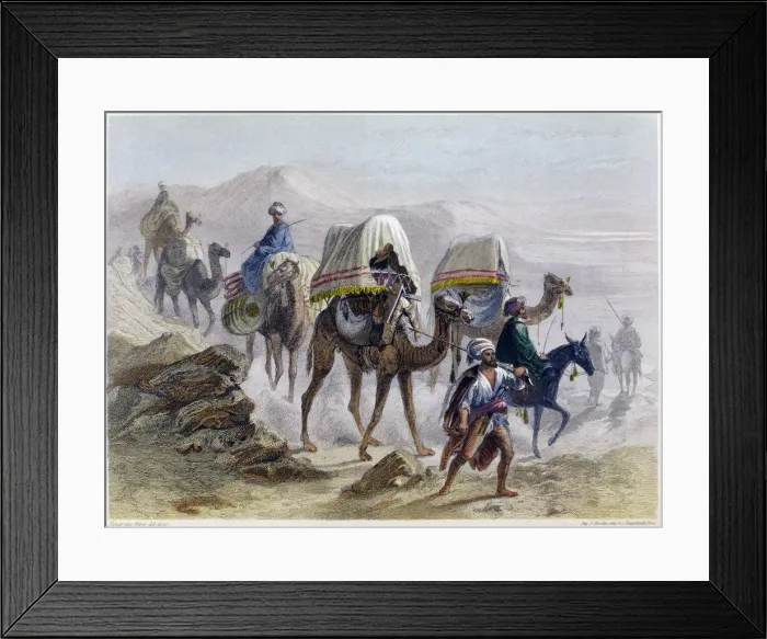 Framed Print : The Camel Train, 1855. From Constantinople and the Black Sea Framed Print : The Camel Train, 1855. From Constantinople and the Black Sea