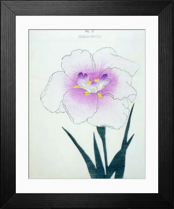 Framed Print : Misuji-No-Ito, No. 17 Framed Print : Misuji-No-Ito, No. 17