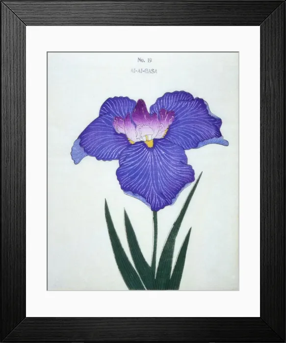 Framed Print : Al-Al-Gasa, No 19 Framed Print : Al-Al-Gasa, No 19