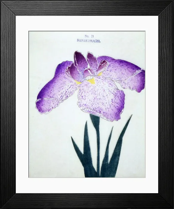 Framed Print : Nanakomachi, No 21 Framed Print : Nanakomachi, No 21