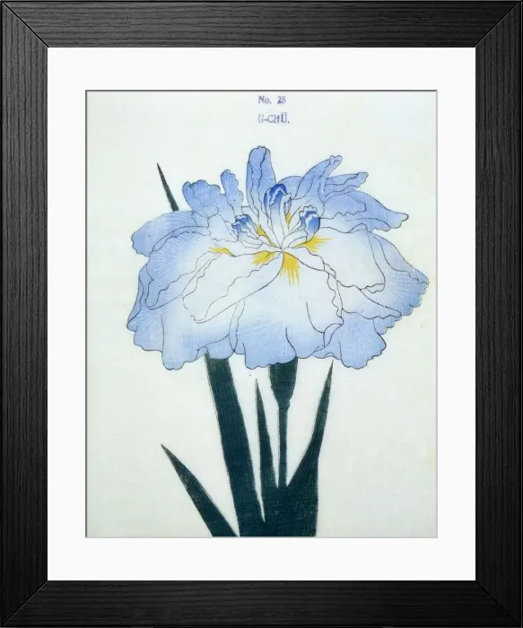 Framed Print : U-Chu, No. 25 Framed Print : U-Chu, No. 25