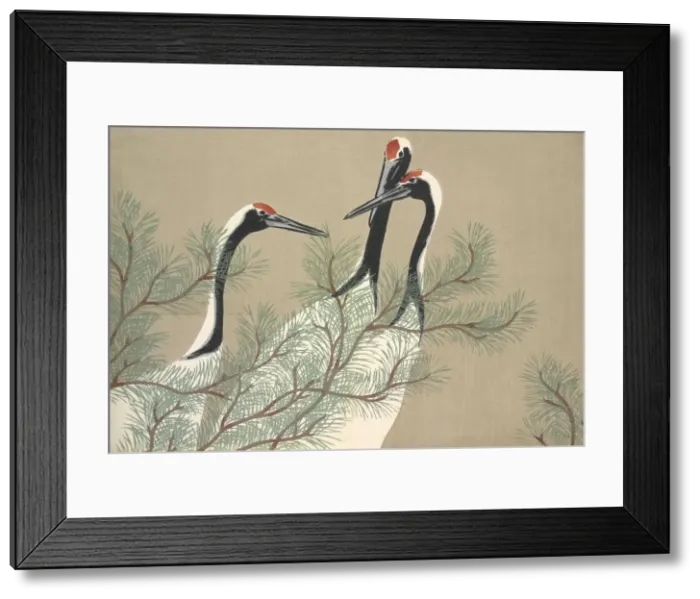 Framed Print : Tsuru, from Momoyo-gusa (The World of Things) Vol II, pub Framed Print : Tsuru, from Momoyo-gusa (The World of Things) Vol II, pub