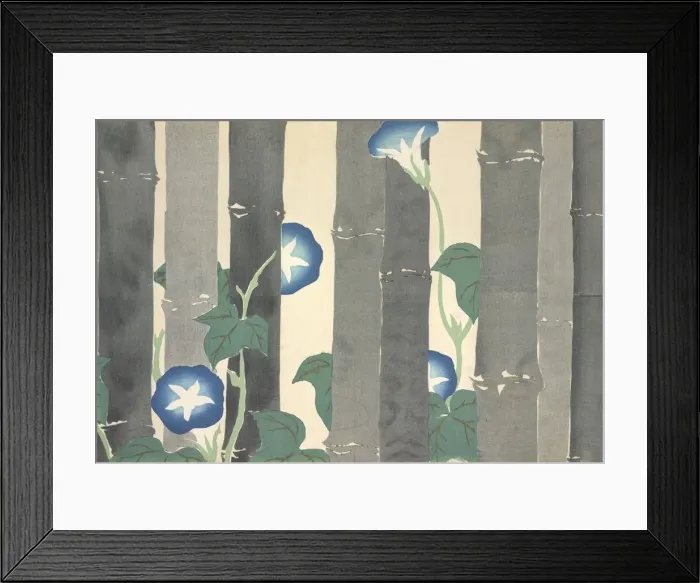 Framed Print : Asagao, from Momoyo-gusa (The World of Things) Vol I, pub Framed Print : Asagao, from Momoyo-gusa (The World of Things) Vol I, pub
