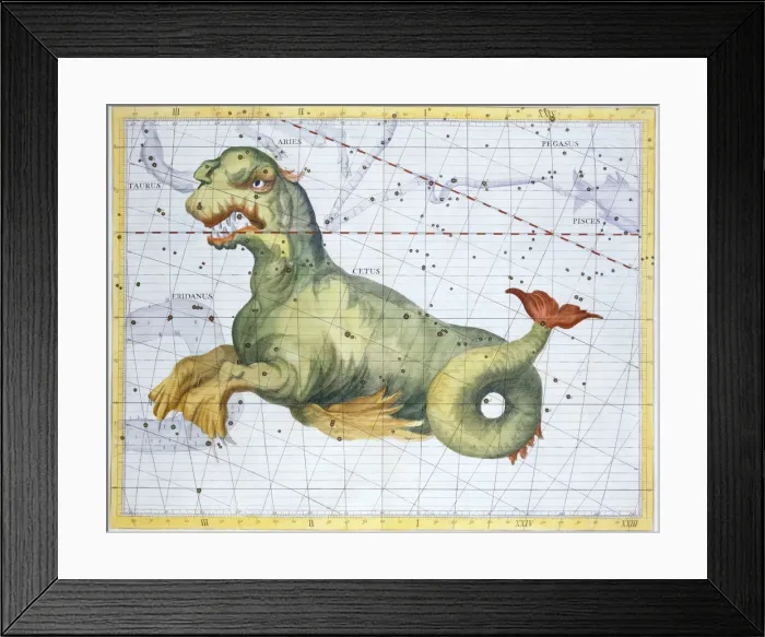 Framed Print : Constellation of Cetus (the Whale), 1729 Framed Print : Constellation of Cetus (the Whale), 1729