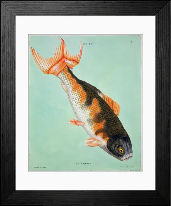 Framed Print : Le Noriroux, 18th century. Artist: Francois Nicholas Martinet Framed Print : Le Noriroux, 18th century. Artist: Francois Nicholas Martinet