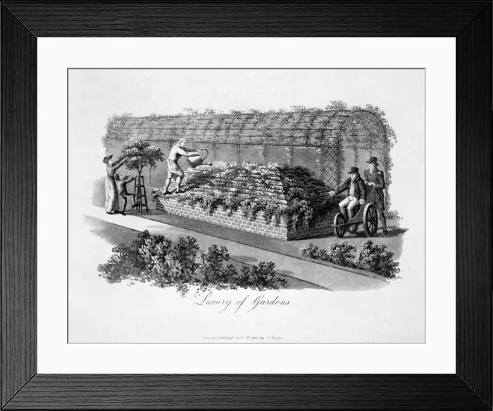 Framed Print : Luxury of Gardens, 1816. Artist: Humphry Repton Framed Print : Luxury of Gardens, 1816. Artist: Humphry Repton