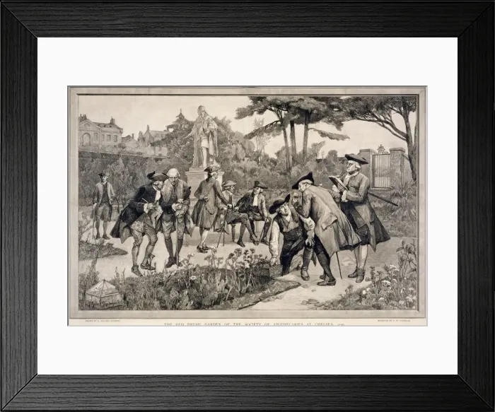 Framed Print : The Old Physic Garden of the Society of Apothecaries at Chelsea, 1750, 1890. Artist Framed Print : The Old Physic Garden of the Society of Apothecaries at Chelsea, 1750, 1890. Artist