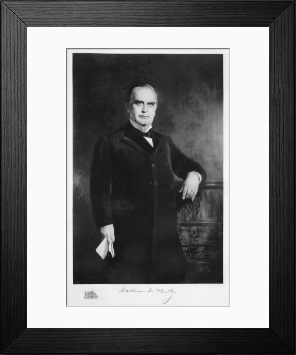 Framed Print : William McKinley, 25th President of the United States, 19th century Framed Print : William McKinley, 25th President of the United States, 19th century