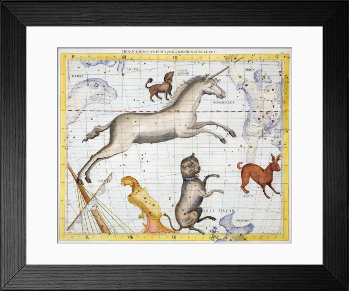 Framed Print : Constellations of Monoceros, Canis Major and Canis Minor, 1729 Framed Print : Constellations of Monoceros, Canis Major and Canis Minor, 1729