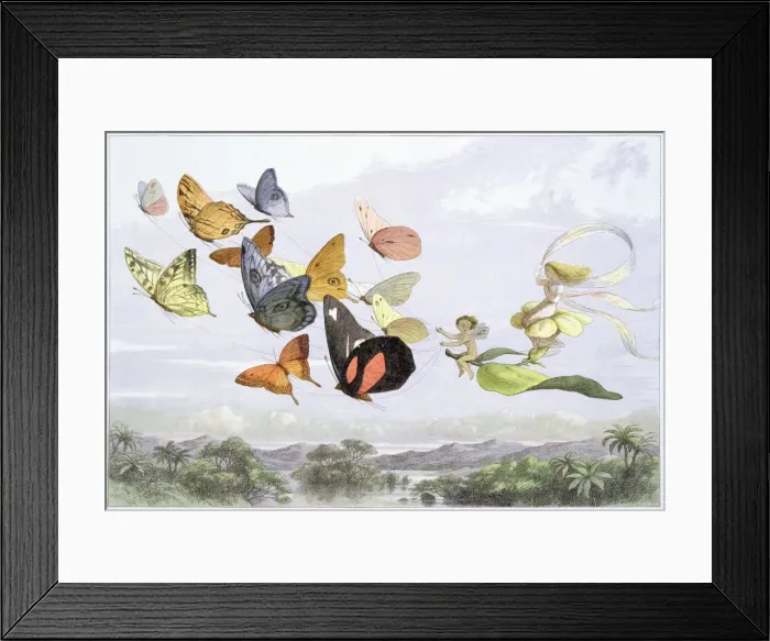 Framed Print : The Fairy Queens Carriage, c1870. Artist: Richard Doyle Framed Print : The Fairy Queens Carriage, c1870. Artist: Richard Doyle