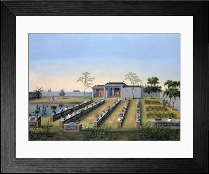 Framed Print : Nursery garden, China, c1820-1840 Framed Print : Nursery garden, China, c1820-1840