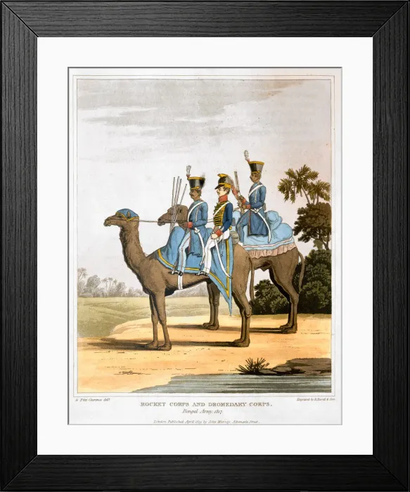 Framed Print : Rocket Corps and Dromedary Corps, Bengal Army 1817 (1819). Artist: Havell & Son Framed Print : Rocket Corps and Dromedary Corps, Bengal Army 1817 (1819). Artist: Havell & Son
