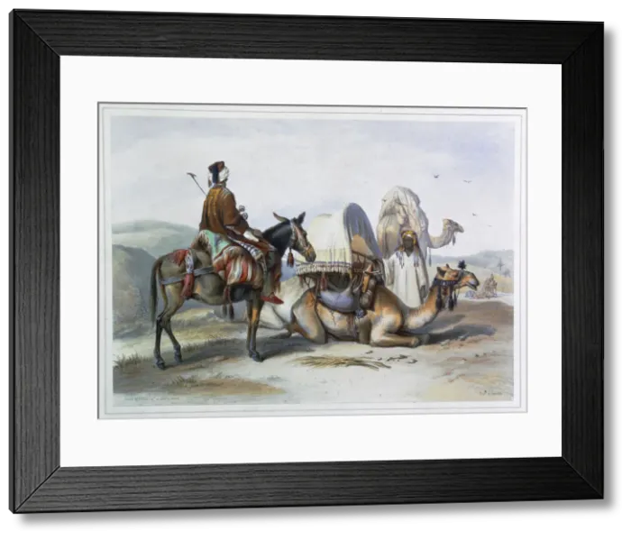 Framed Print : Kafila with a camel bearing a hodesh, 1848. Artist: Lehnert Framed Print : Kafila with a camel bearing a hodesh, 1848. Artist: Lehnert