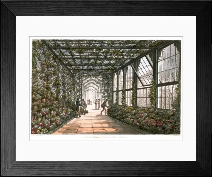 Framed Print : Corridor of a conservatory, 1808. Artist: Joseph Constantine Stadler Framed Print : Corridor of a conservatory, 1808. Artist: Joseph Constantine Stadler