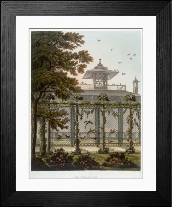 Framed Print : The Pheasantry, 1808. Artist: Joseph Constantine Stadler Framed Print : The Pheasantry, 1808. Artist: Joseph Constantine Stadler