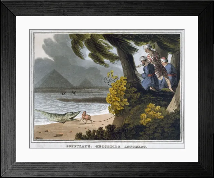 Framed Print : Egyptians, Crocodile Catching, 1813. Artist: Matthew Dubourg Framed Print : Egyptians, Crocodile Catching, 1813. Artist: Matthew Dubourg