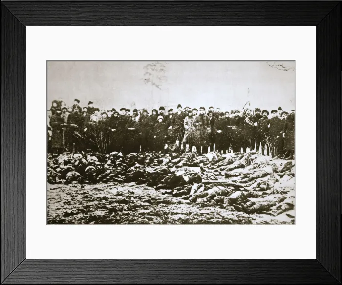 Framed Print : Casualties of the Red and White Armies in Siberia, Russian Civil War, c1918-c1923 Framed Print : Casualties of the Red and White Armies in Siberia, Russian Civil War, c1918-c1923