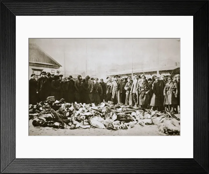 Framed Print : Casualties of the Red and White Armies in Siberia, Russian Civil War, c1918-c1923 Framed Print : Casualties of the Red and White Armies in Siberia, Russian Civil War, c1918-c1923