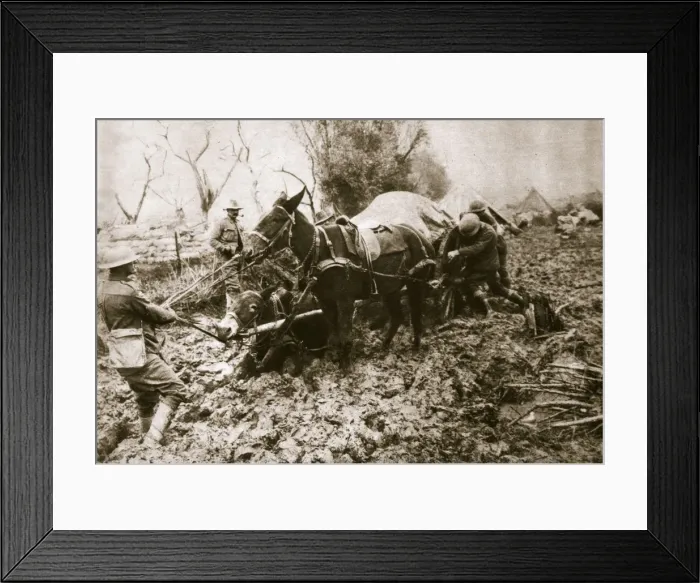 Framed Print : A British ammunition column finds it hard going, World War I, c1914-c1918. Artist Framed Print : A British ammunition column finds it hard going, World War I, c1914-c1918. Artist