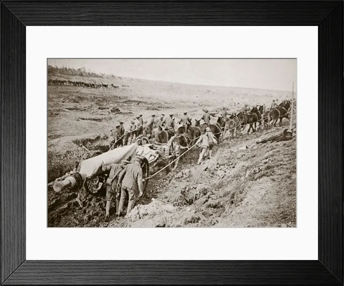 Framed Print : Pulling a big gun with a twelve horse team and the help of the gun crew, France, World War I, 1916 Framed Print : Pulling a big gun with a twelve horse team and the help of the gun crew, France, World War I, 1916