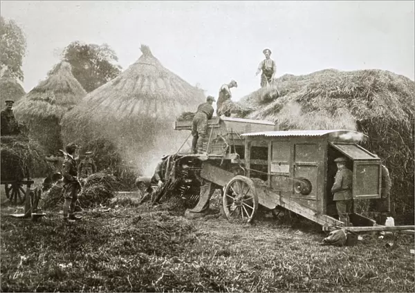 Threshing for straw for soldiers use, France, World War I, 1916