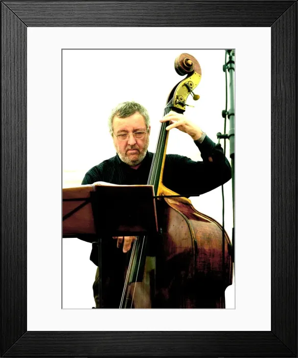 Framed Print : Dave Green, Brecon Jazz Festival, Powys, Wales. Artist: Brian O Connor Framed Print : Dave Green, Brecon Jazz Festival, Powys, Wales. Artist: Brian O Connor