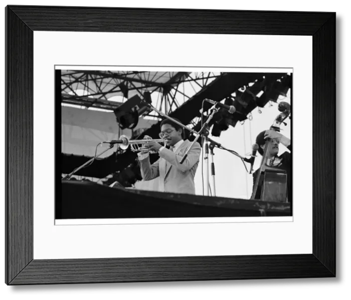 Framed Print : Wynton Marsalis, Knebworth, 1982. Artist: Brian O Connor Framed Print : Wynton Marsalis, Knebworth, 1982. Artist: Brian O Connor