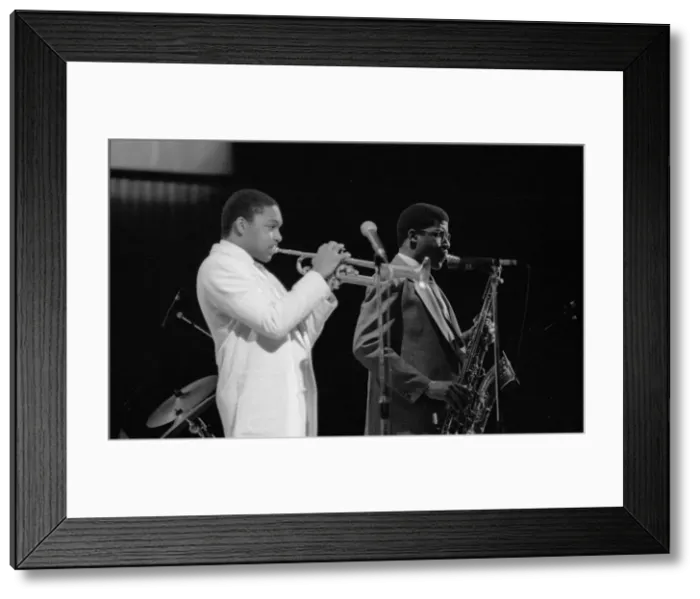 Framed Print : Wynton Marsalis (T Williams), Capital Jazz Festival, RFH, London, 1988. Artist: Brian O Connor Framed Print : Wynton Marsalis (T Williams), Capital Jazz Festival, RFH, London, 1988. Artist: Brian O Connor