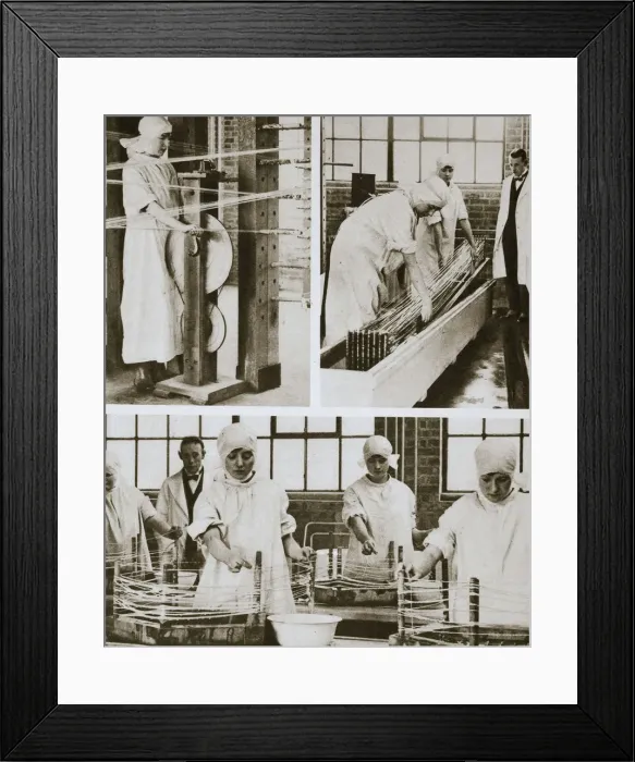Framed Print : Preparing cat gut at the London Hospitals own factory, London, 20th century. Artist Framed Print : Preparing cat gut at the London Hospitals own factory, London, 20th century. Artist