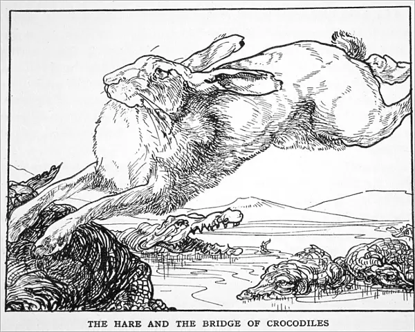 The Hare and the Bridge of Crocodiles, 1925