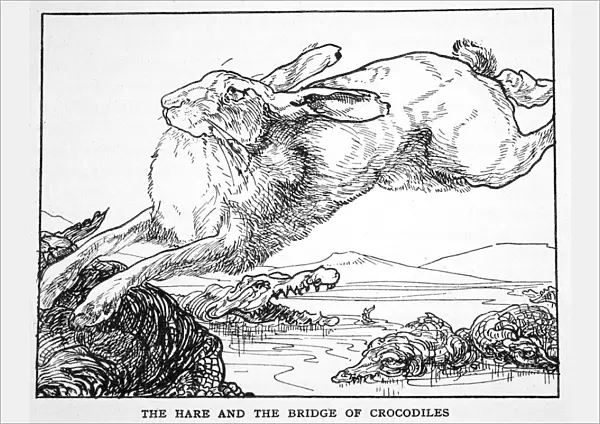 The Hare and the Bridge of Crocodiles, 1925