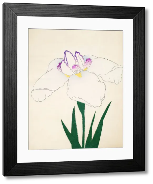 Framed Print : Zama-No-Mori, No. 4, 1890, (colour woodblock print) Framed Print : Zama-No-Mori, No. 4, 1890, (colour woodblock print)