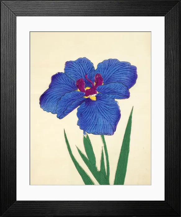 Framed Print : Gosetsu-No-Mai, No. 9, 1890, (colour woodblock print) Framed Print : Gosetsu-No-Mai, No. 9, 1890, (colour woodblock print)