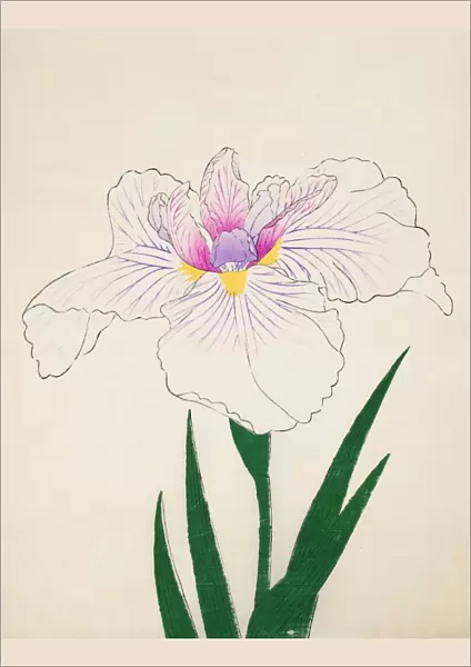 Akashi-No-Ue, No. 10, 1890, (colour woodblock print)