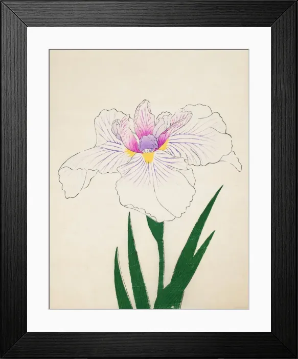 Framed Print : Akashi-No-Ue, No. 10, 1890, (colour woodblock print) Framed Print : Akashi-No-Ue, No. 10, 1890, (colour woodblock print)